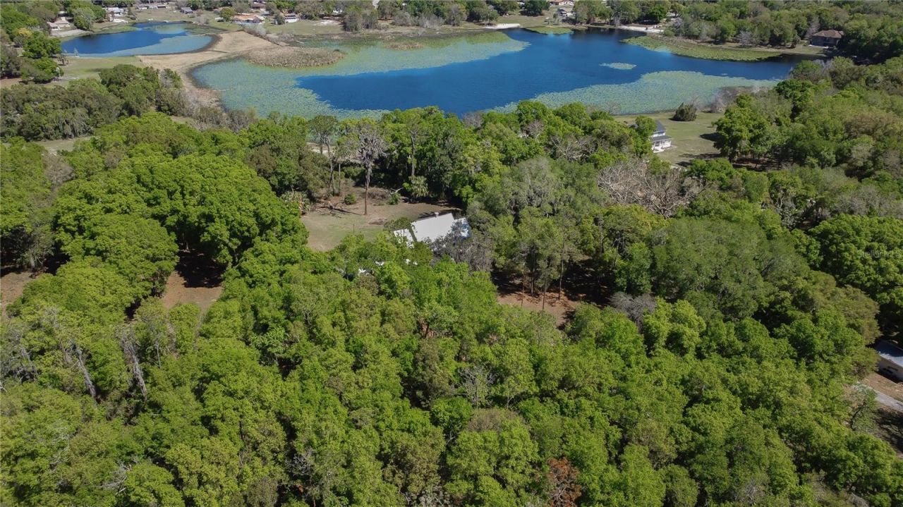 1905 Myrtle Lake Avenue, Fruitland Park, FL 34731 Photo