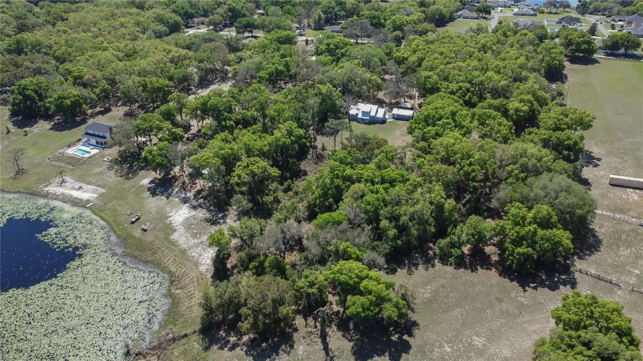 1905 Myrtle Lake Avenue, Fruitland Park, FL 34731 Photo