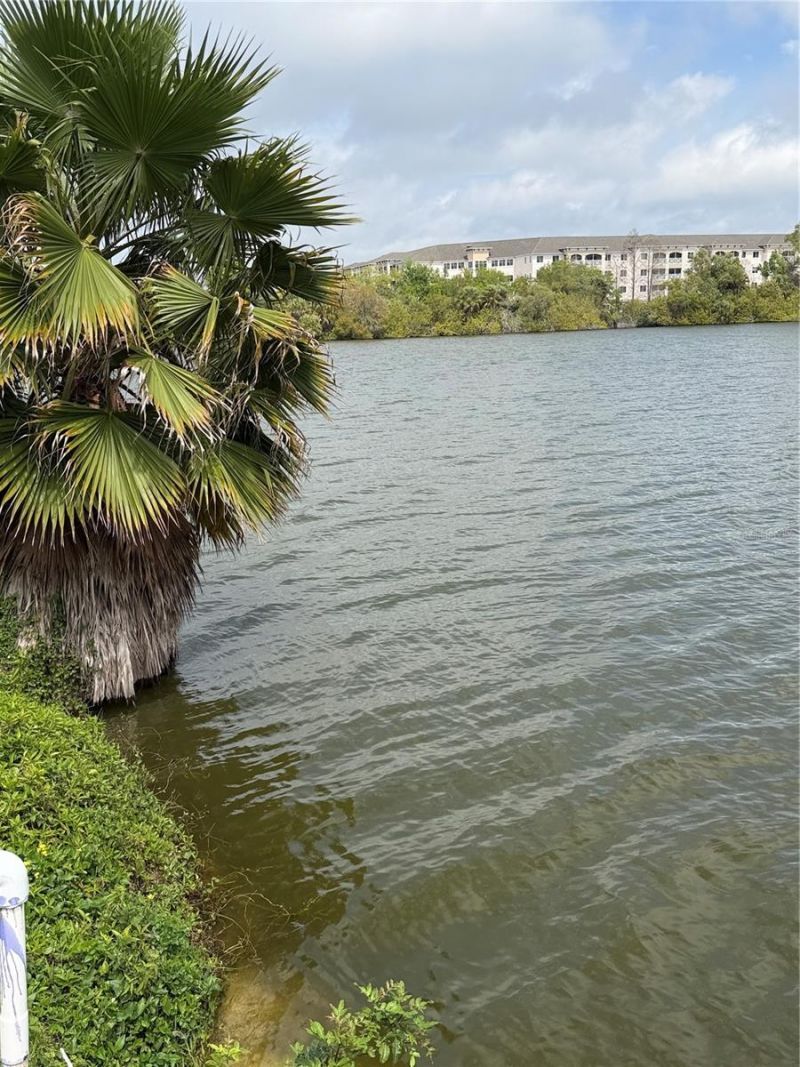 3176 Lake Bayshore Drive, Unit 319, Bradenton, FL 34205 Photo