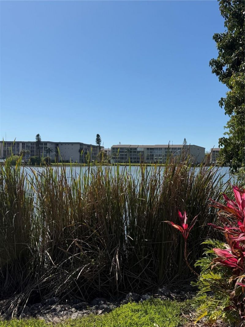 3176 Lake Bayshore Drive, Unit 319, Bradenton, FL 34205 Photo