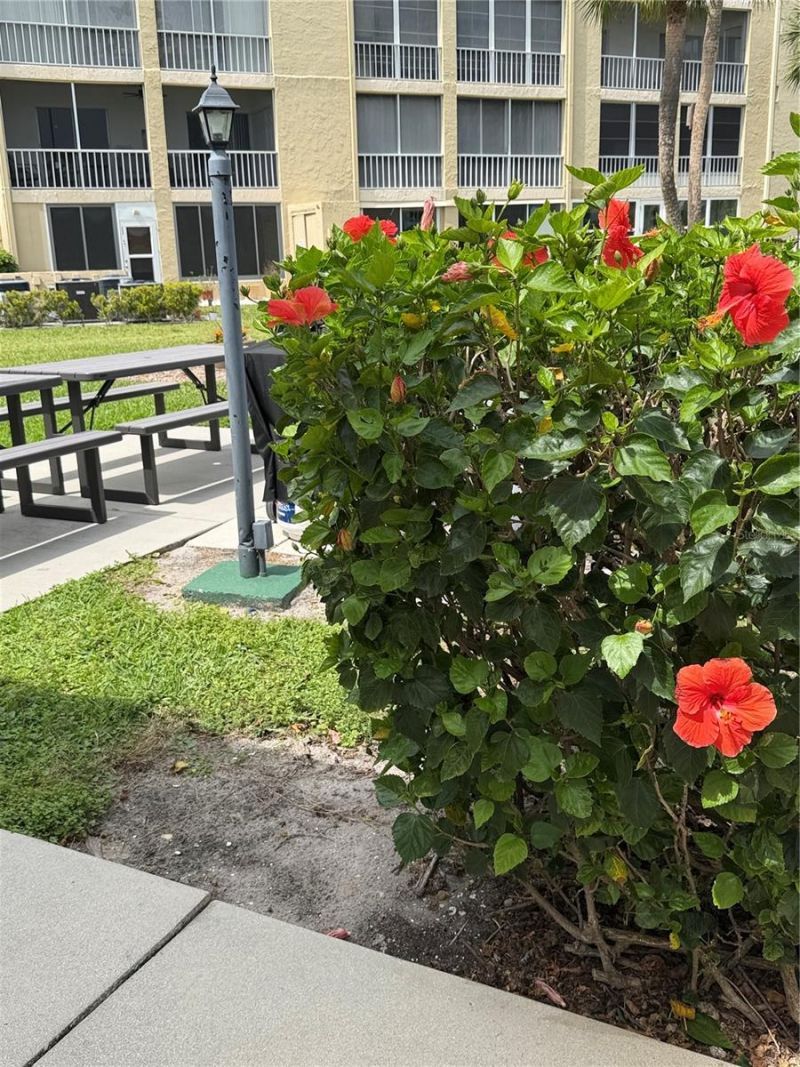 3176 Lake Bayshore Drive, Unit 319, Bradenton, FL 34205 Photo