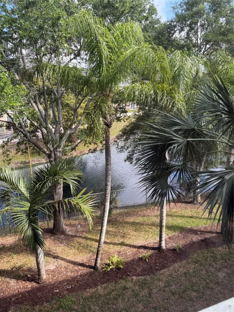 3176 Lake Bayshore Drive, Unit 319, Bradenton, FL 34205 Photo