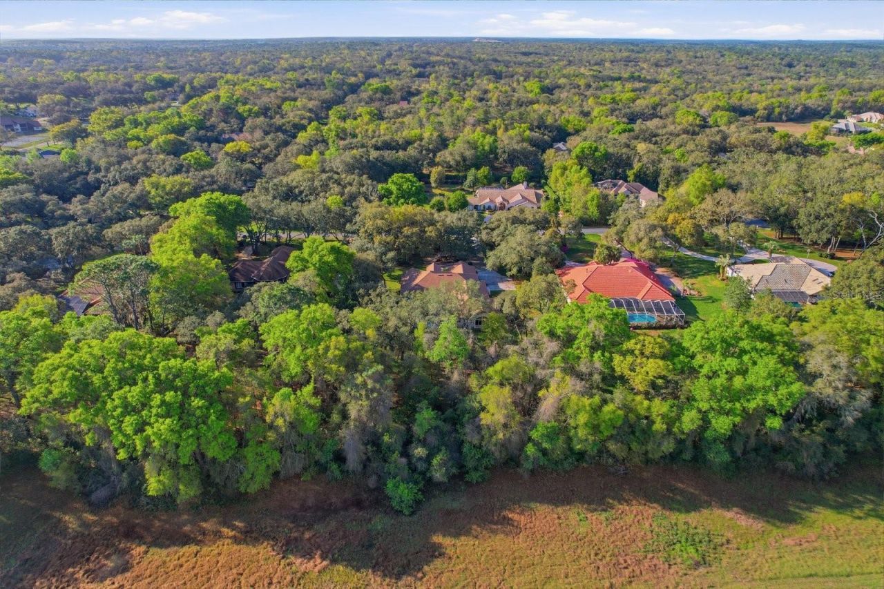 103 W Albany Lane, Hernando, FL 34442 Photo