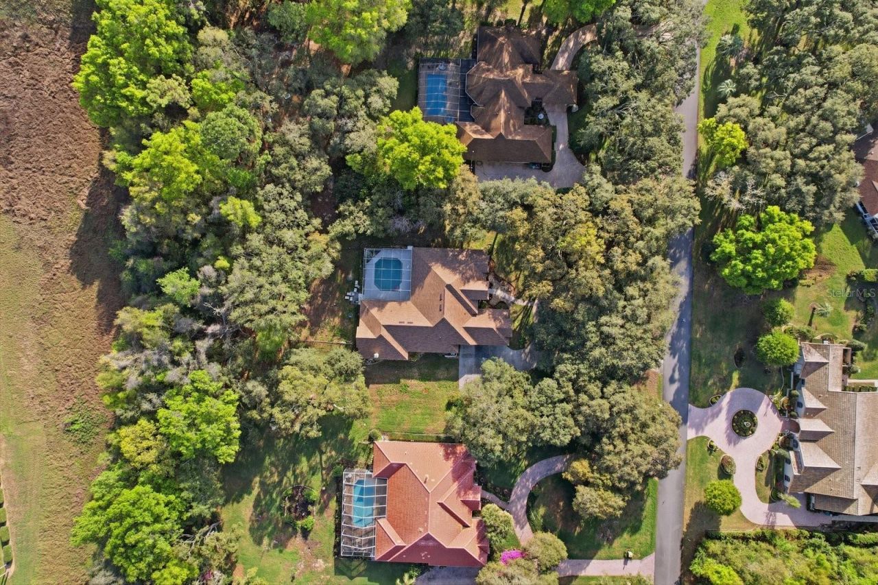 103 W Albany Lane, Hernando, FL 34442 Photo