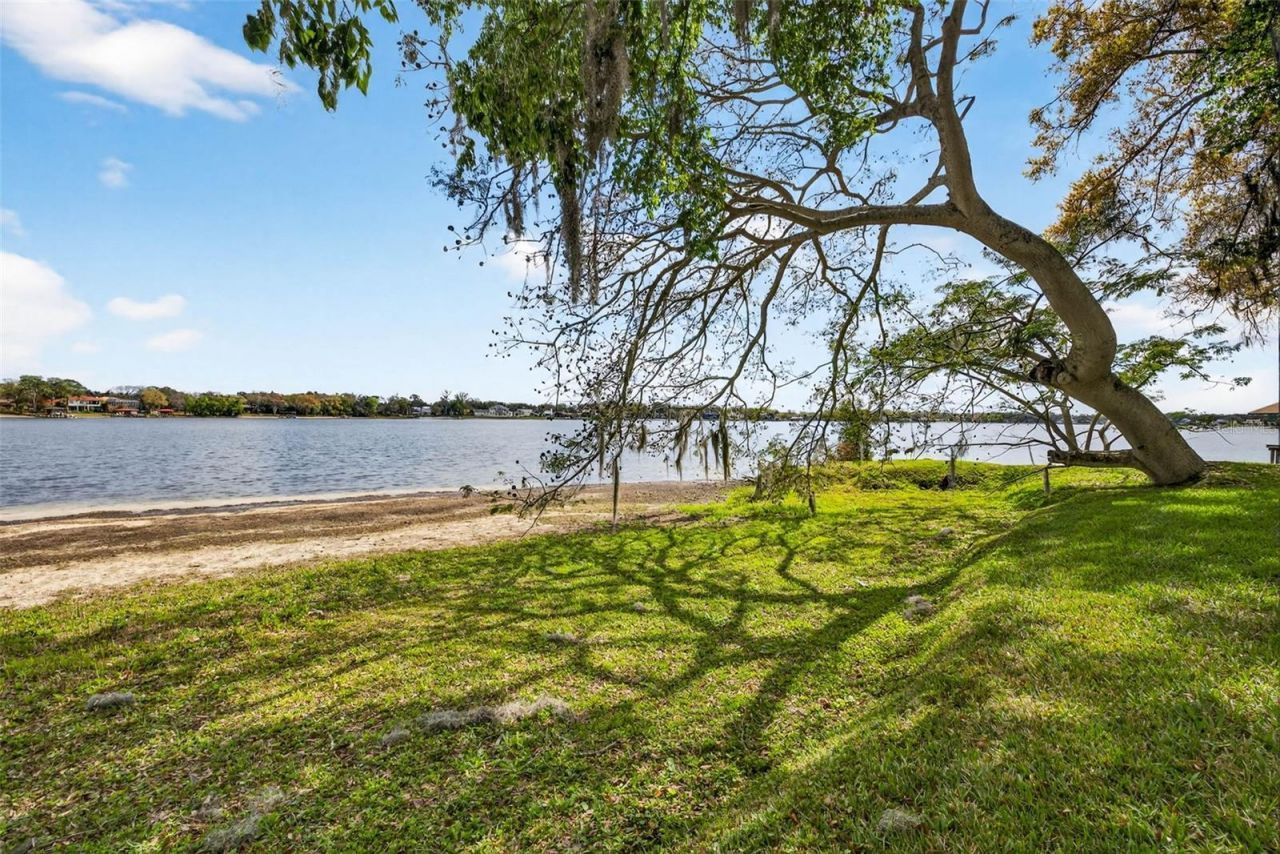 12010 Hardaman Place, Tampa, FL 33618 Photo