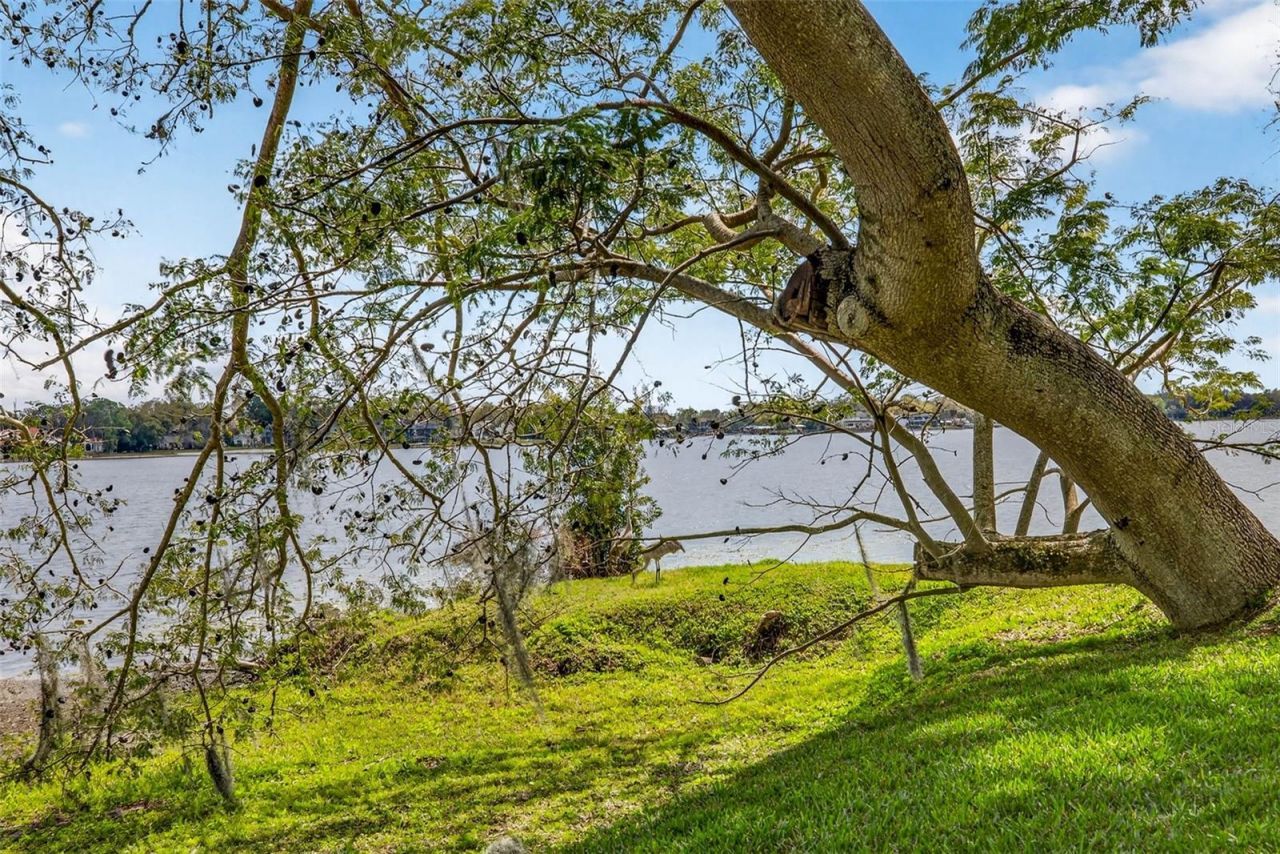 12010 Hardaman Place, Tampa, FL 33618 Photo