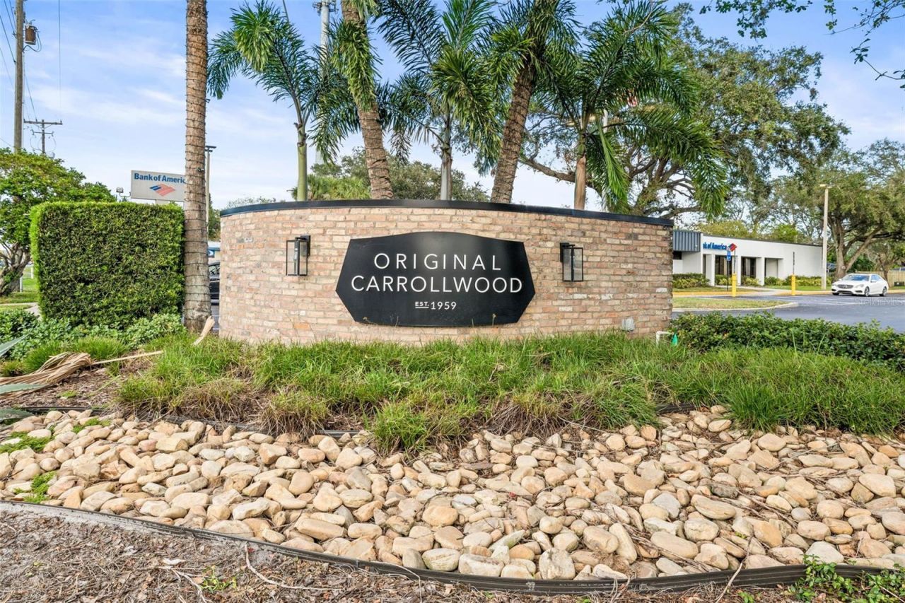 12010 Hardaman Place, Tampa, FL 33618 Photo