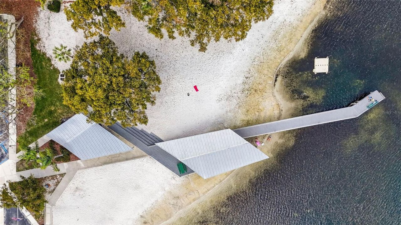 12010 Hardaman Place, Tampa, FL 33618 Photo