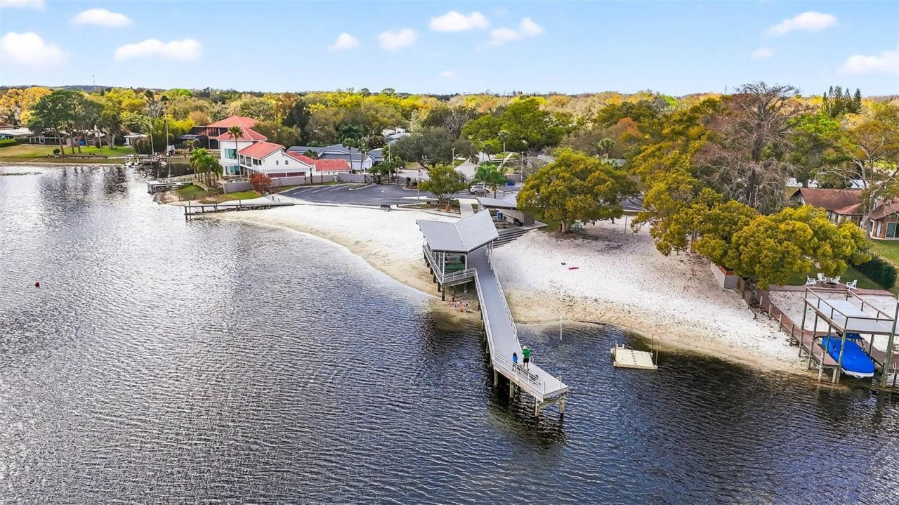 12010 Hardaman Place, Tampa, FL 33618 Photo