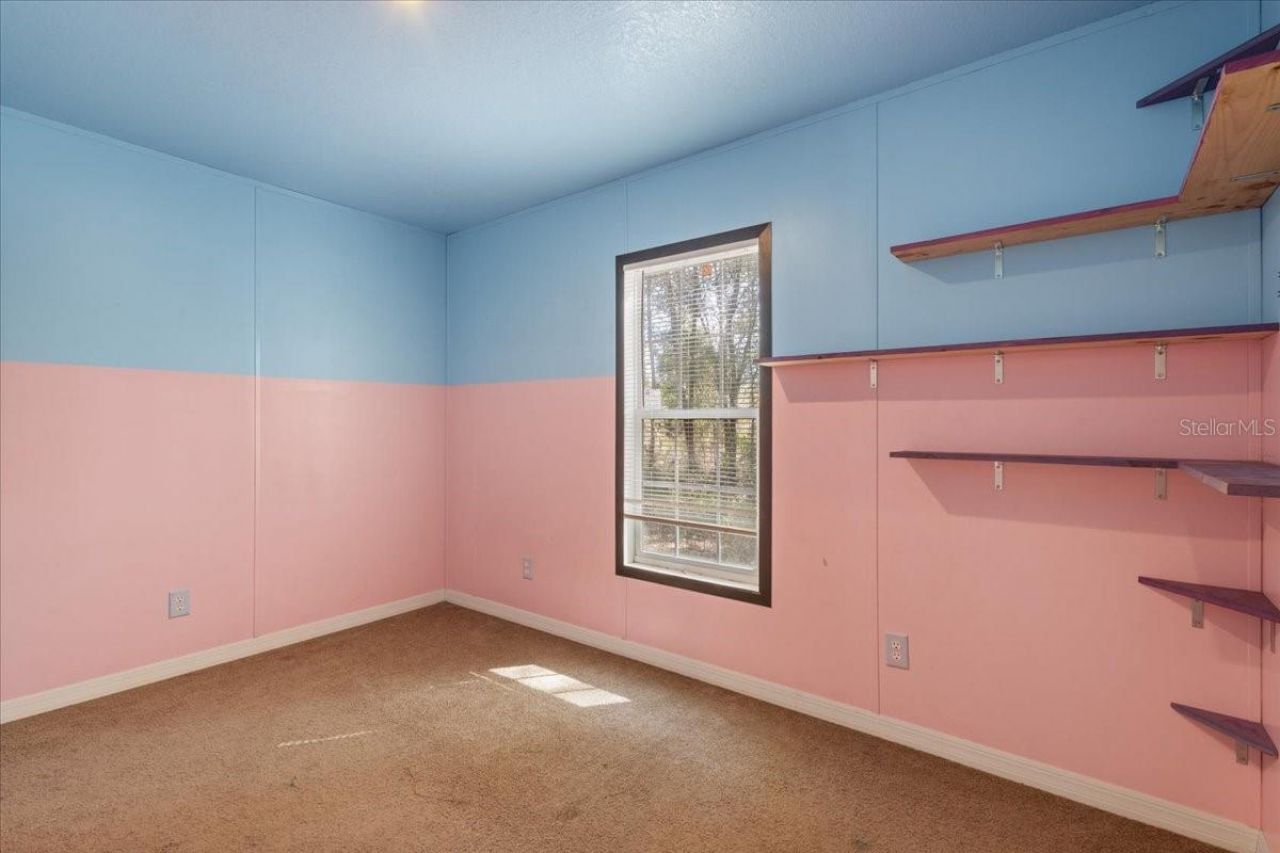 11061 NE 65th Lane , Williston, FL 32696 Photo