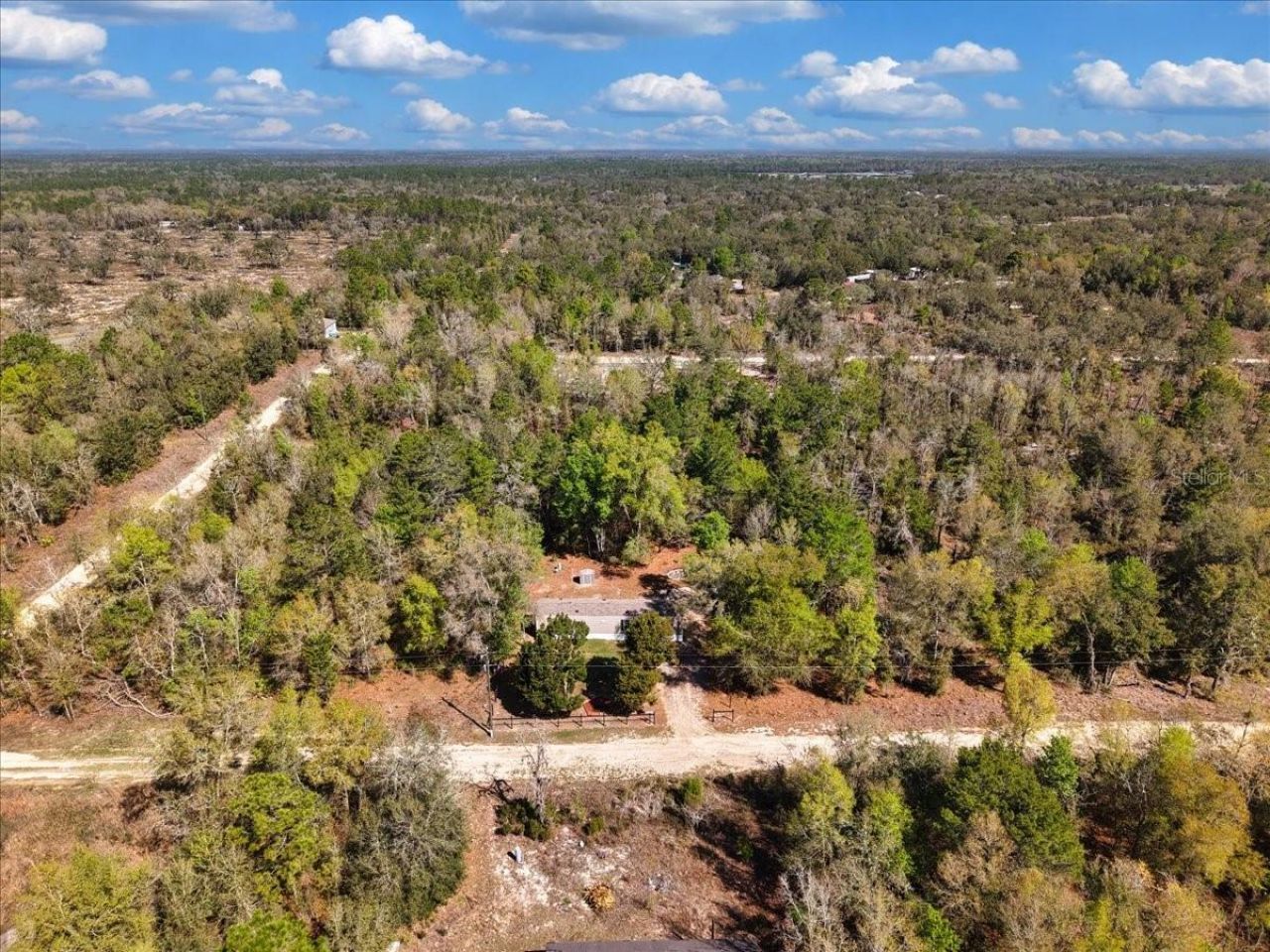 11061 NE 65th Lane , Williston, FL 32696 Photo