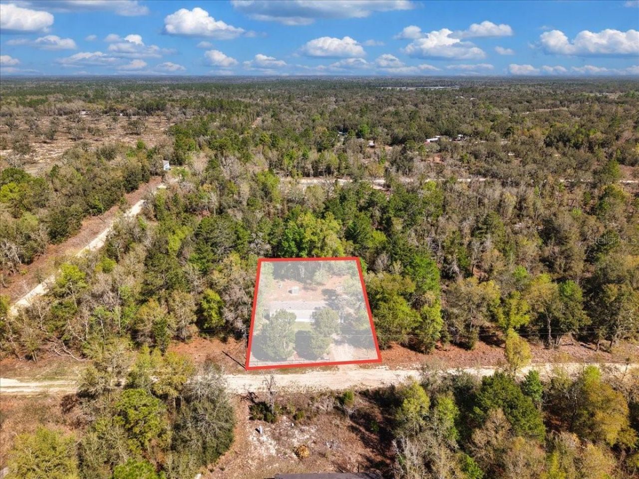 11061 NE 65th Lane , Williston, FL 32696 Photo