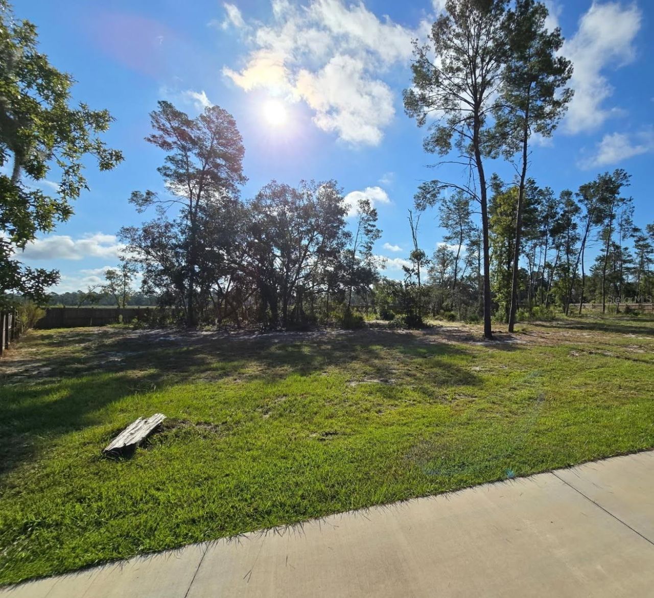 854 Fisher Road, Ocklawaha, FL 32179 Photo