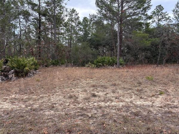 4156 W HORSESHOE DRIVE , BEVERLY HILLS, FL 34465