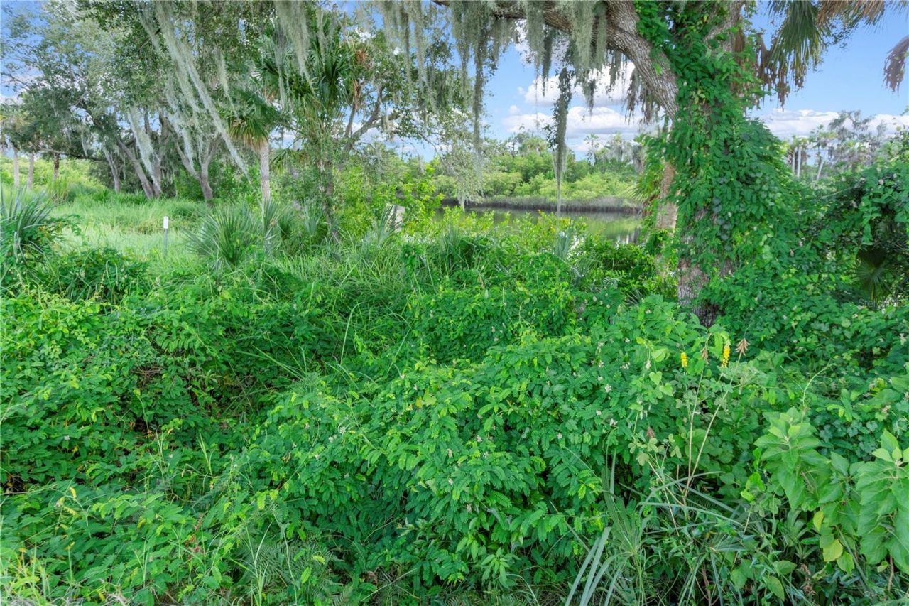 11609 Bayou Cove , Parrish, FL 34219 Photo