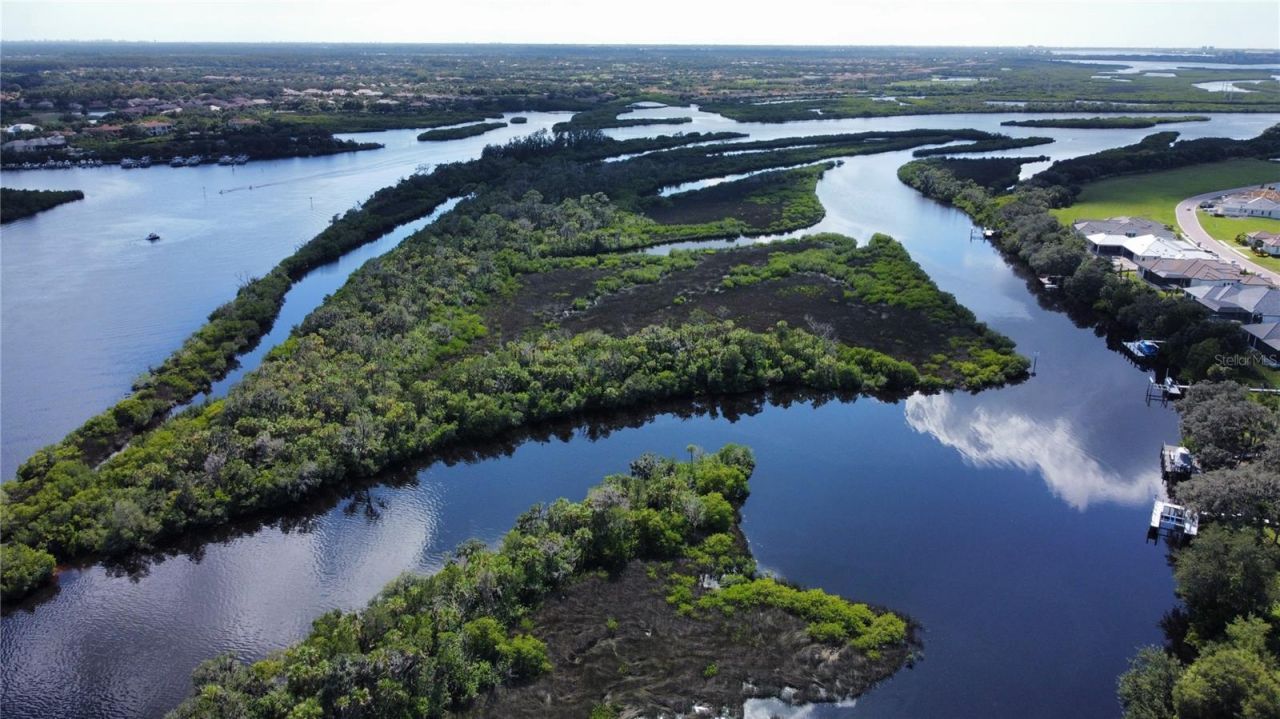 11609 Bayou Cove , Parrish, FL 34219 Photo