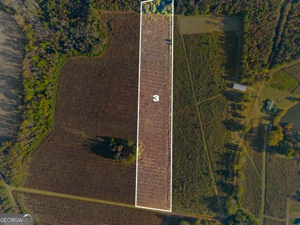 0 Waters Lane, Unit LOT 3, Claxton, GA 30417