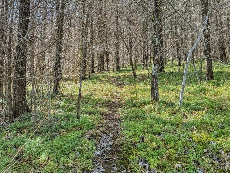 6075 State Route 73, Peebles, OH 45660 Photo 28