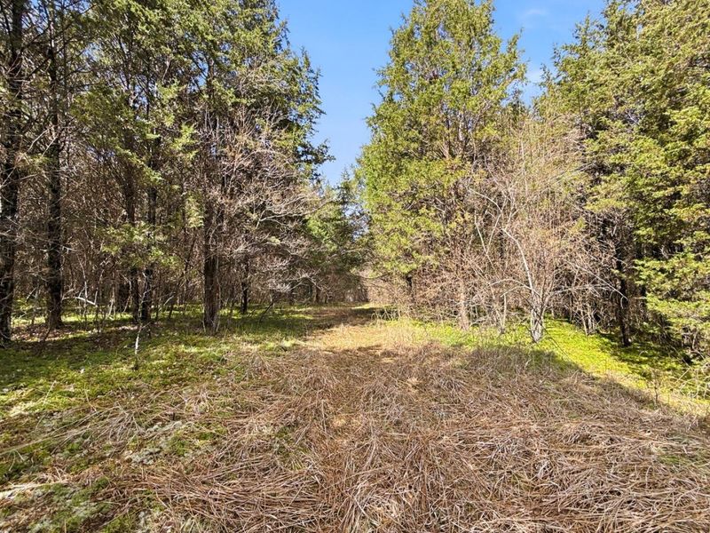 6075 State Route 73, Peebles, OH 45660 Photo 30