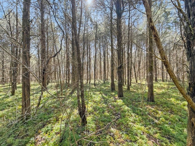 6075 State Route 73, Peebles, OH 45660 Photo 31