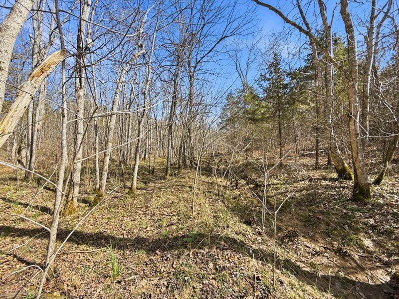 6075 State Route 73, Peebles, OH 45660 Photo 34