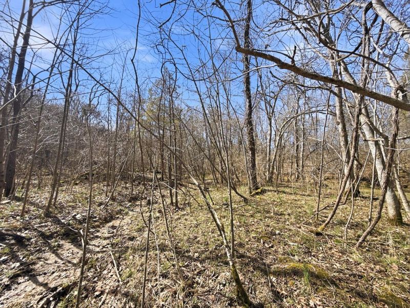 6075 State Route 73, Peebles, OH 45660 Photo 35