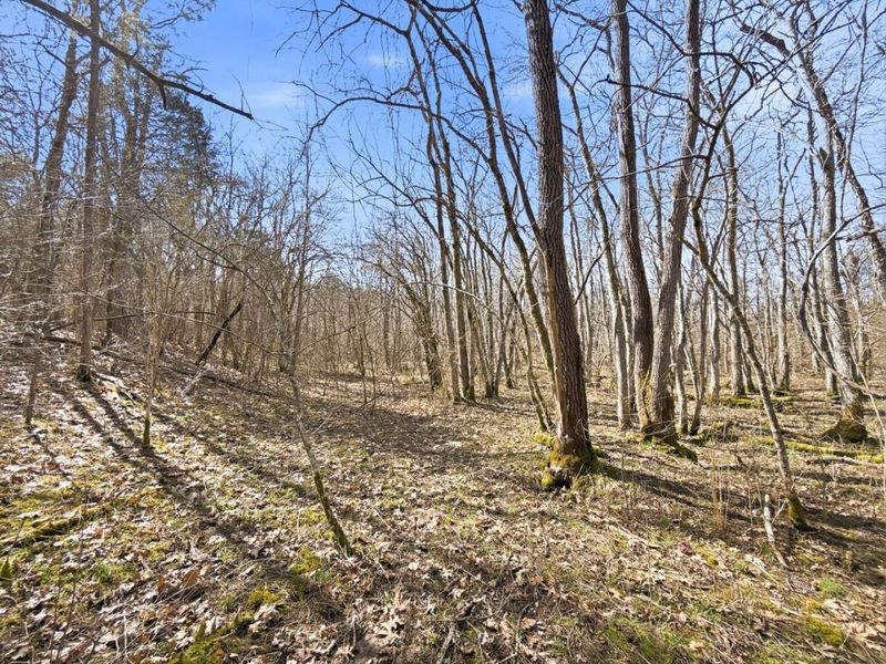 6075 State Route 73, Peebles, OH 45660 Photo 36