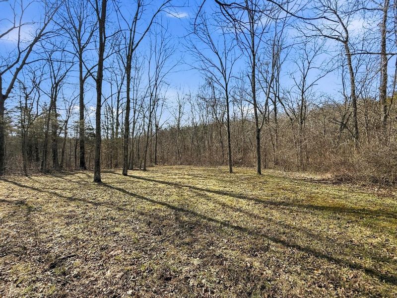 6075 State Route 73, Peebles, OH 45660 Photo 41