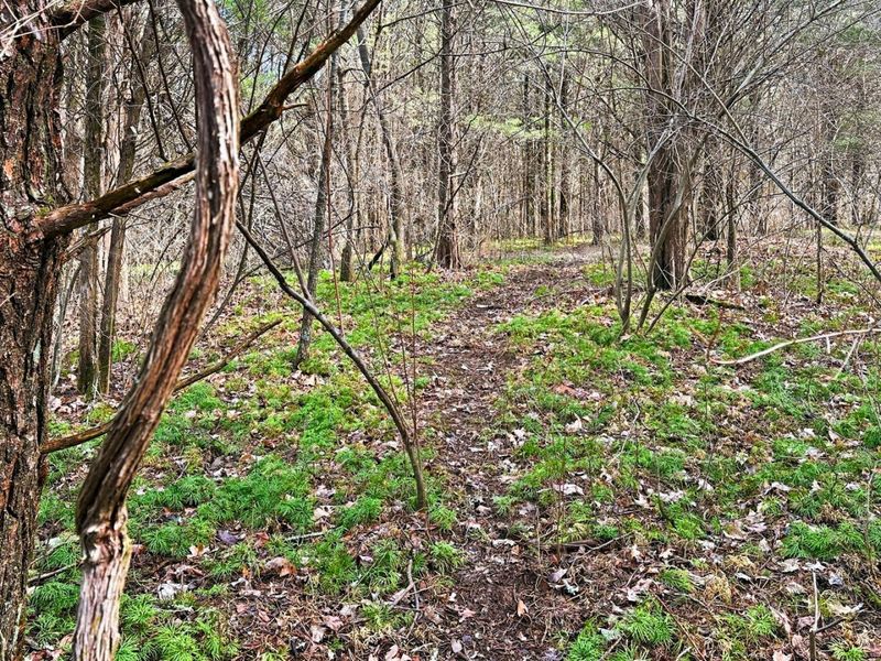 6075 State Route 73, Peebles, OH 45660 Photo 42