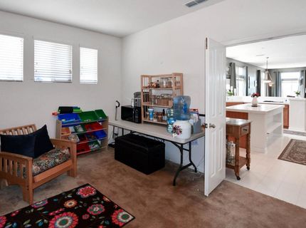 33318 Merganser Ct, Woodland, CA 95695 Photo