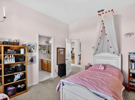 33318 Merganser Ct, Woodland, CA 95695 Photo