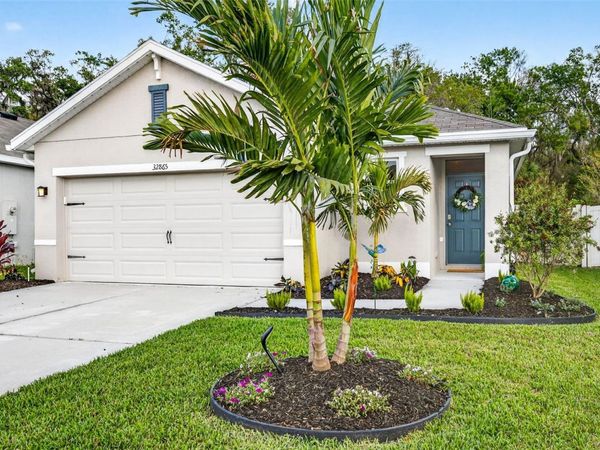 32865 BROOKS HAWK LANE, WESLEY CHAPEL, FL 33543