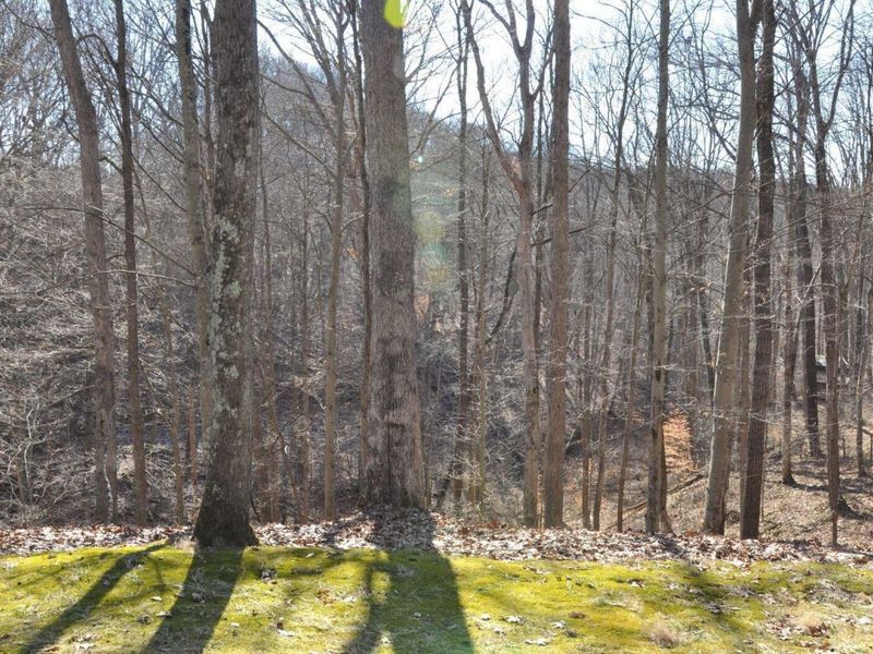 2620 Burnett Road , Cutler, OH 45724 Photo 44