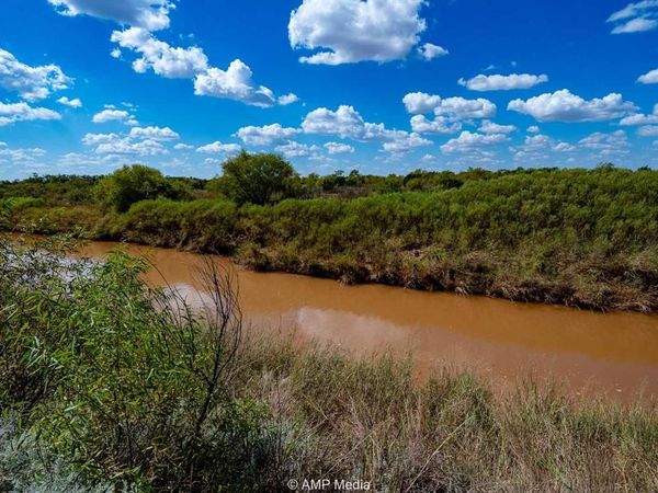 4538 463 , Rule, TX 79547