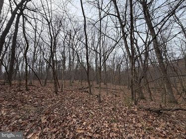 LOGGER DRIVE, Unit LOT 82, GORE, VA 22637
