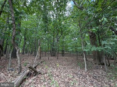 LOGGER DRIVE, Unit LOT 82, GORE, VA 22637
