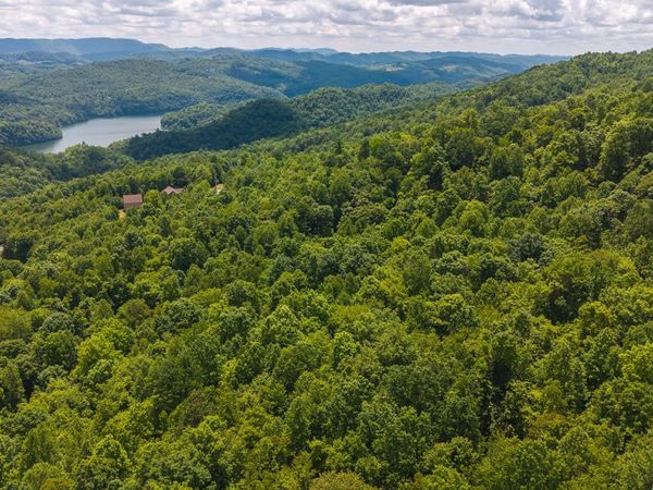 Lot 187 Cottage Lane, New Tazewell, TN 37825