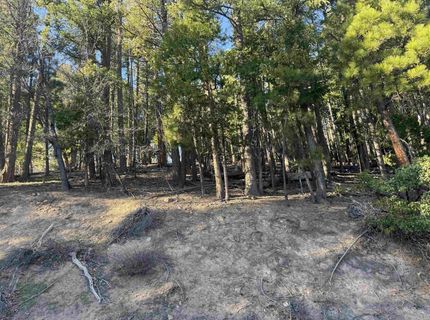 2500 Sugar Pine Trail, Quincy, CA 95971 Photo