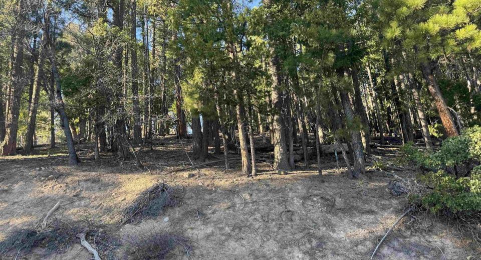 2500 Sugar Pine Trail, Quincy, CA 95971 Photo
