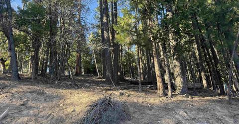 2500 Sugar Pine Trail, Quincy, CA 95971 Photo