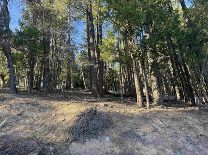 2500 Sugar Pine Trail, Quincy, CA 95971 Photo