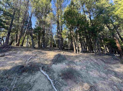 2500 Sugar Pine Trail, Quincy, CA 95971 Photo