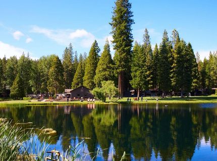 2500 Sugar Pine Trail, Quincy, CA 95971 Photo