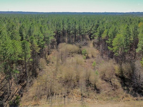 Lot 4 Jess Lyons, Columbus, MS 39705