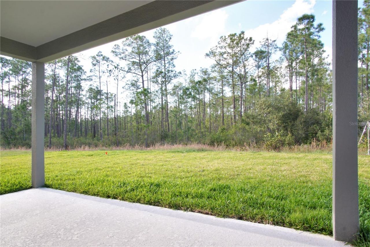 1419 Eucalyptus Way, Davenport, FL 33837 Photo
