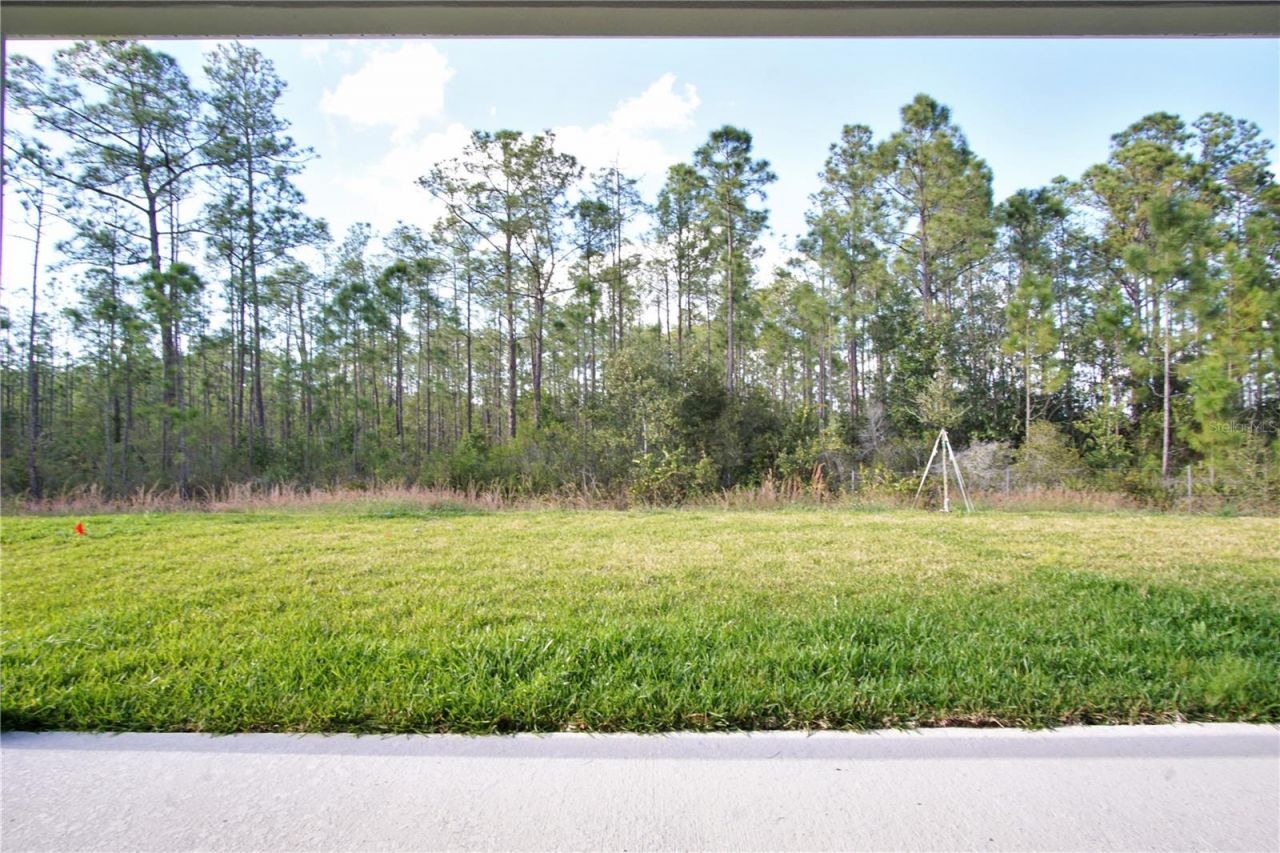 1419 Eucalyptus Way, Davenport, FL 33837 Photo