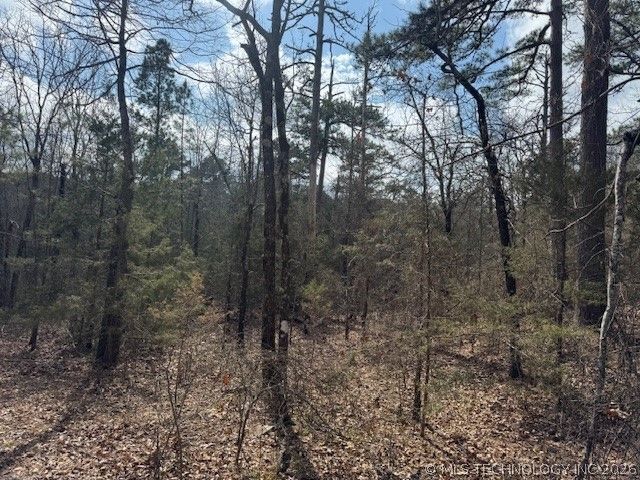 Turkey Creek Road, Red Oak, OK 74563 Main Photo