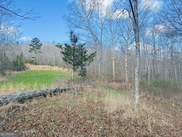 0 County Road 709, Valley Head, AL 35989