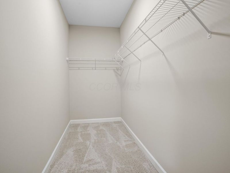 5151 Foxtail Pine Street, Dublin, OH 43016 Photo 35