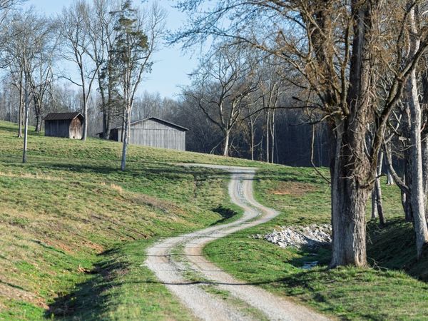 4648 Love Branch Rd, Hampshire, TN 38461